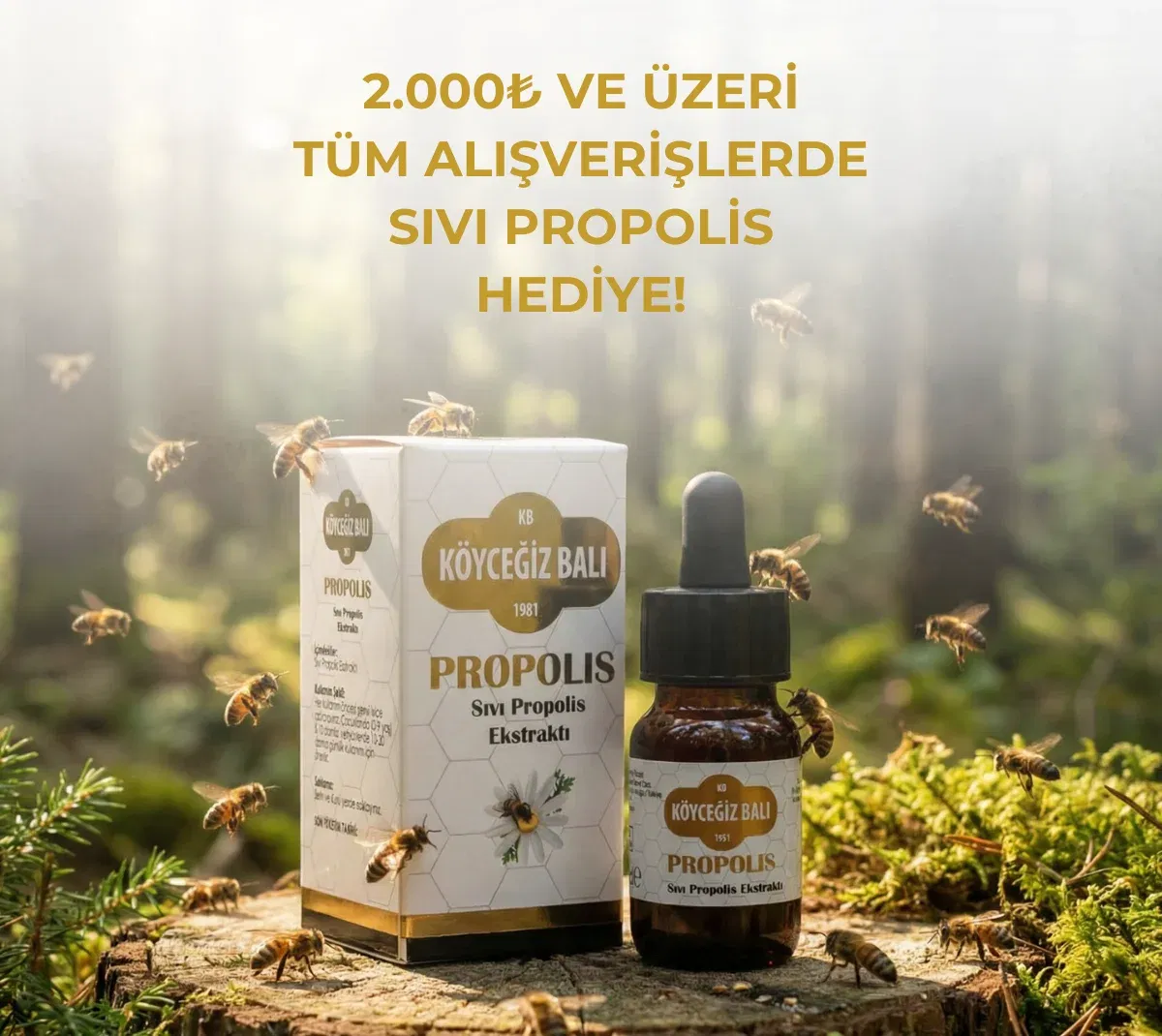 2.000 TL'lik alışverişe Kb Köyceğiz Balı Sıvı Propolis Ekstraktı 20 ML ürünü bedava.