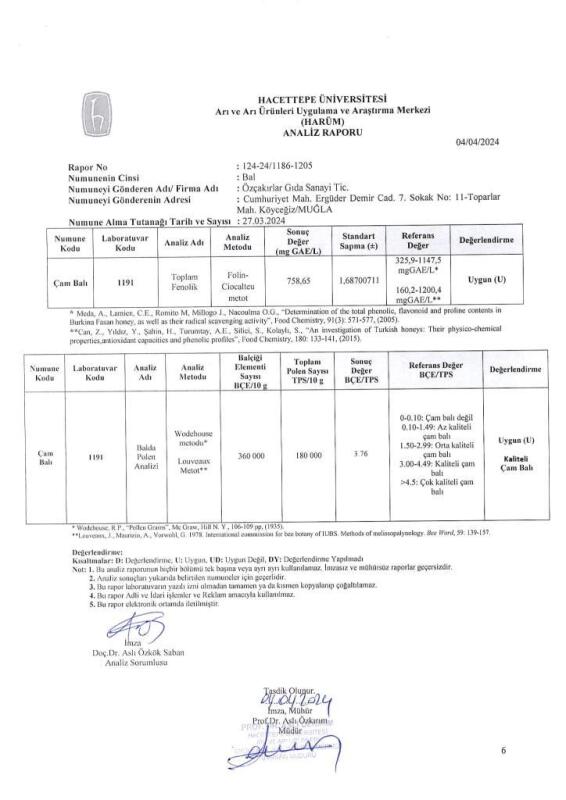 Kb Köyceğiz Balı Çam Balı 15 Kg Teneke - 6