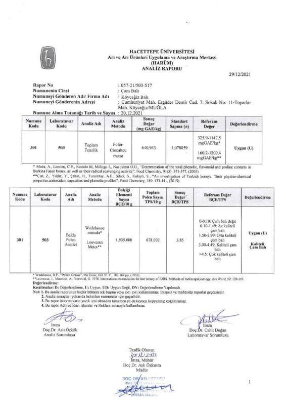 Kb Köyceğiz Balı Çam Balı 850 G Teneke - 5