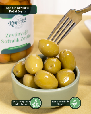 Kb Köyceğiz Yöresel Ekincik Sofralık Zeytin 600 G - 2