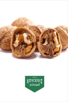 Kb Köyceğiz Yöresel Köyceğiz Cevizi 2 Kg - 4