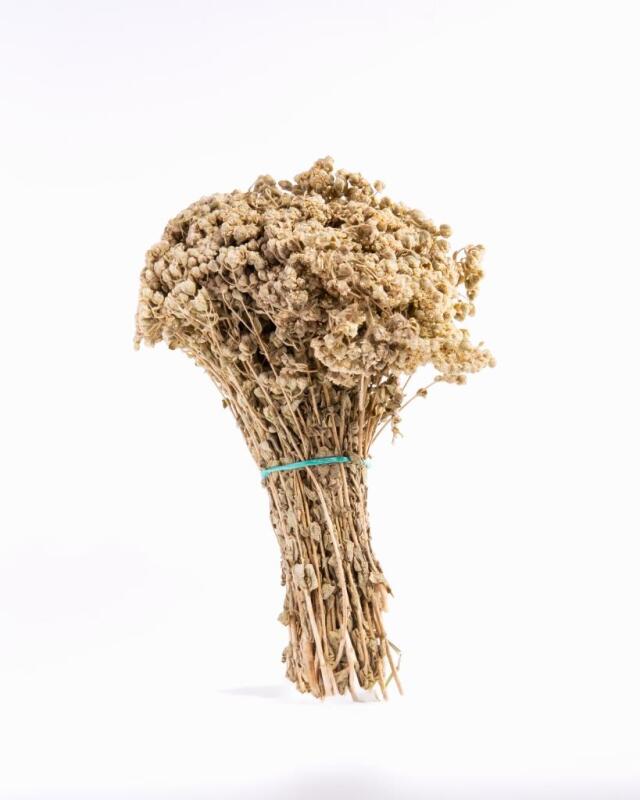 Kb Köyceğiz Yöresel Kekik Çayı 40 G - 1