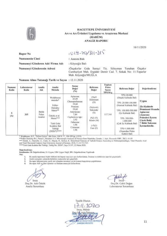 Kb Köyceğiz Balı Anason Balı 450 G Cam Kavanoz - 7