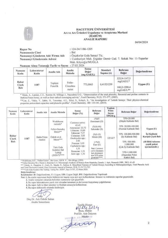 Kb Köyceğiz Balı Bahar Çiçek Balı 850 G Teneke - 6