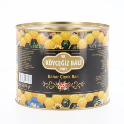 Kb Köyceğiz Balı Bahar Çiçek Balı 2850 G Teneke - 1