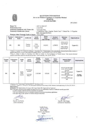 Kb Köyceğiz Balı Çam Balı 26,50 Kg Teneke - 6