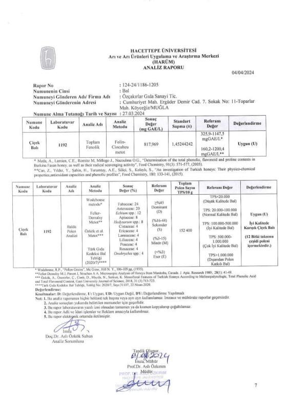 Kb Köyceğiz Balı Çiçek Balı 15 Kg Teneke - 6