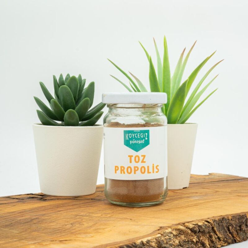 Kb Köyceğiz Balı Toz Propolis 50 G Cam Kavanoz - Kb Köyceğiz Yöresel