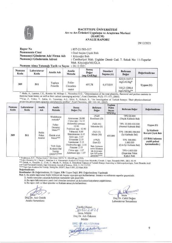 Kb Köyceğiz Balı Özel Seçim Çiçek Balı 450 G Cam - 6