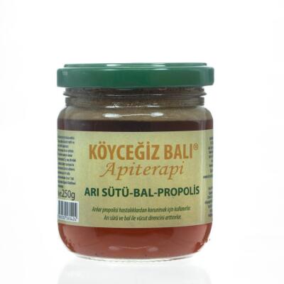 Kb Köyceğiz Balı Arı Sütü Bal Propolis Karışımı 250 G Cam Kavanoz - 3